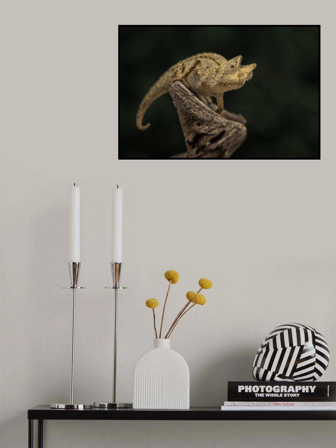 Move forward Poster och Canvastavla