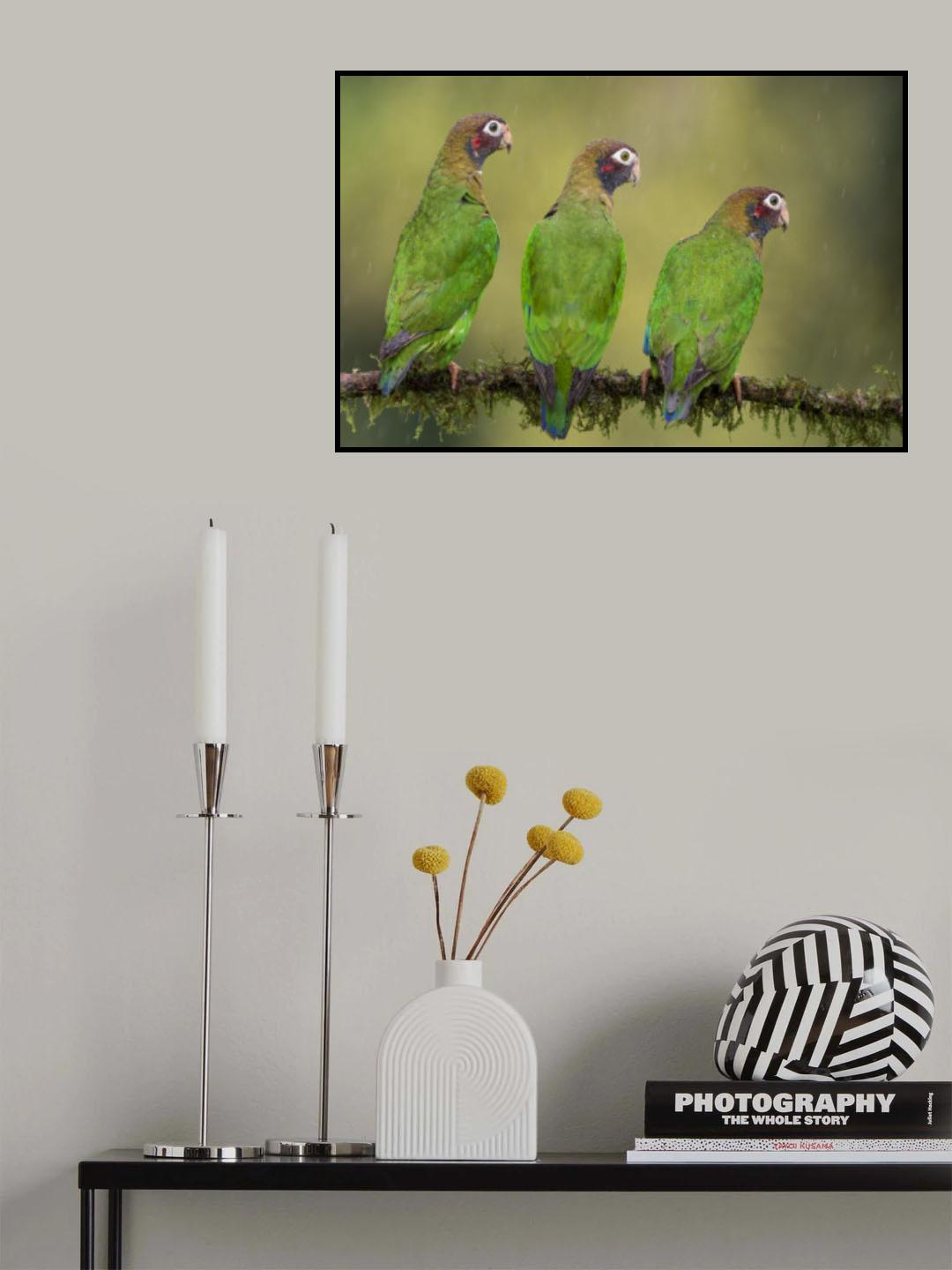 Hear No Evil, See No Evil, Speak No Evil Poster och Canvastavla