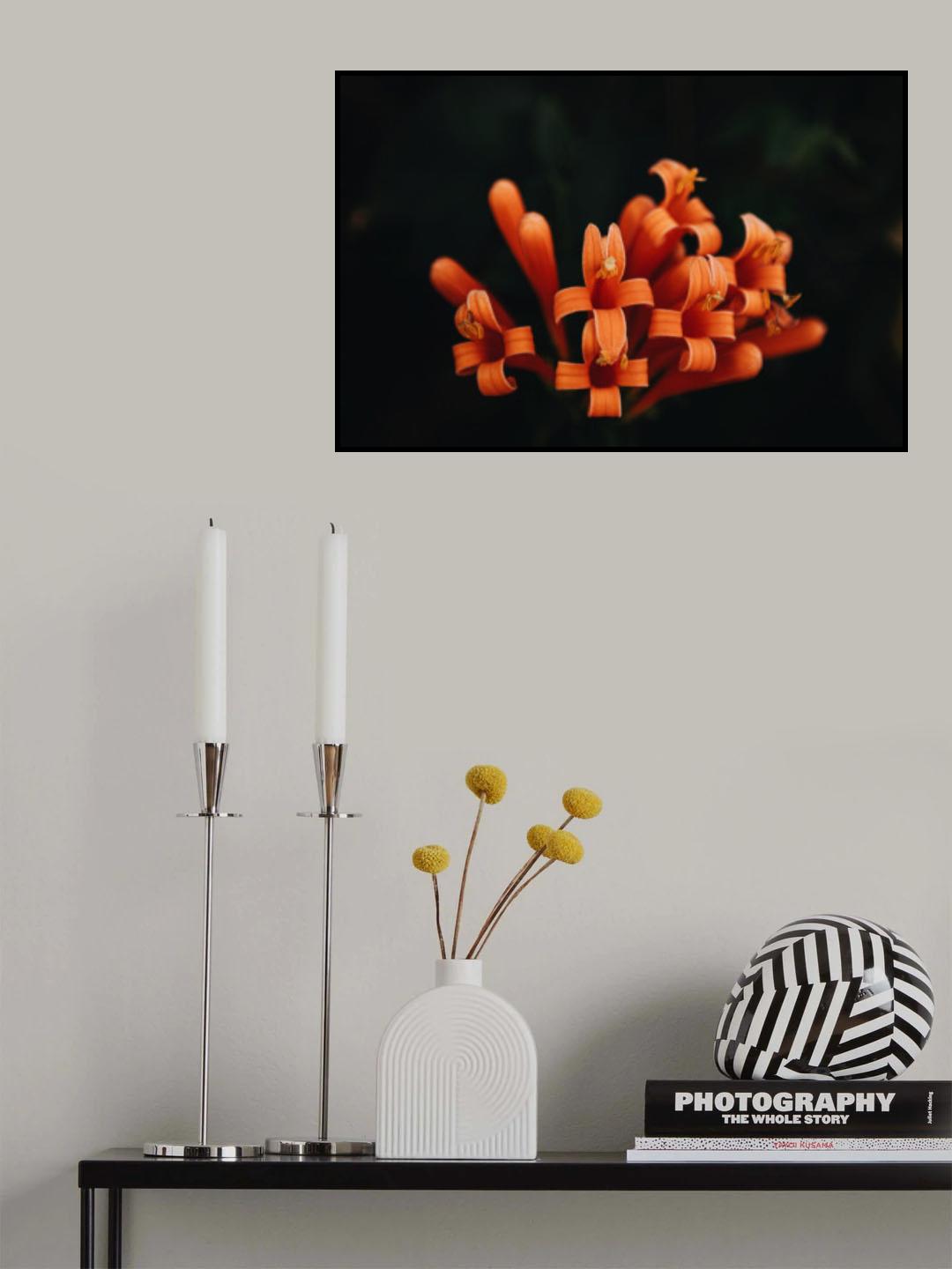 Orange Flowers Poster och Canvastavla