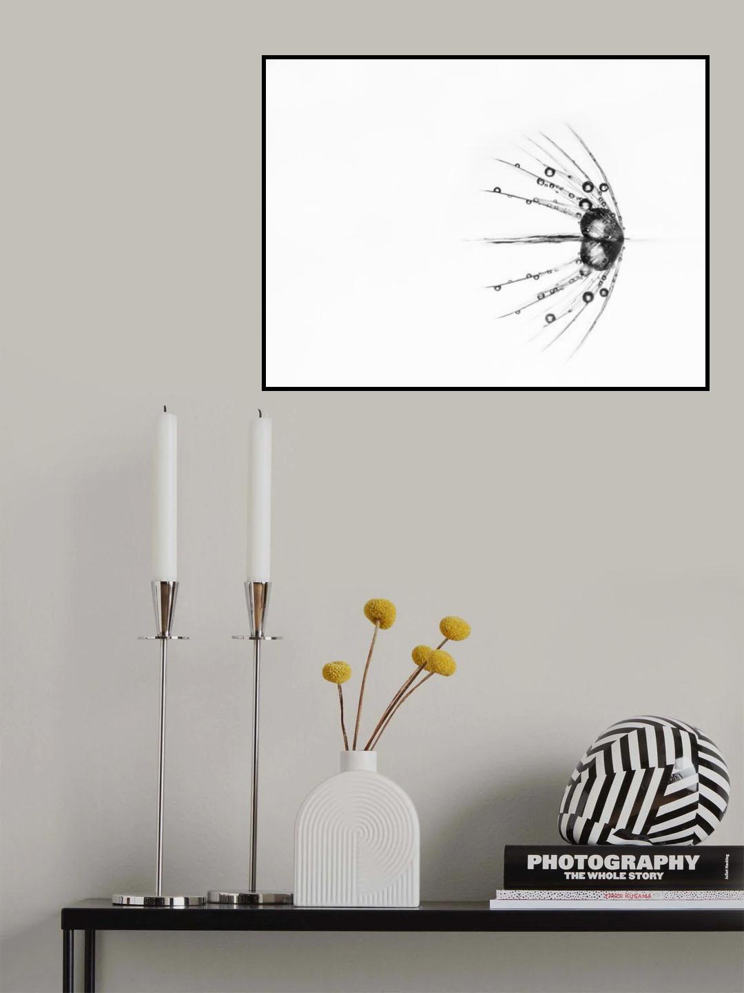 Reflection Poster och Canvastavla