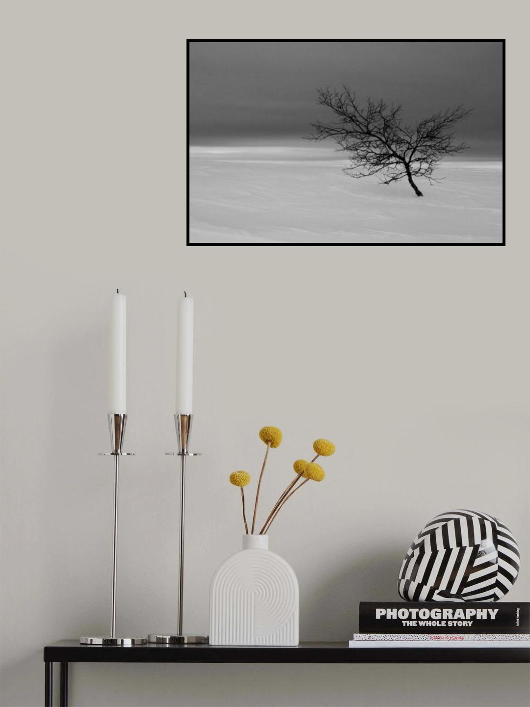 Lonely tree Poster och Canvastavla