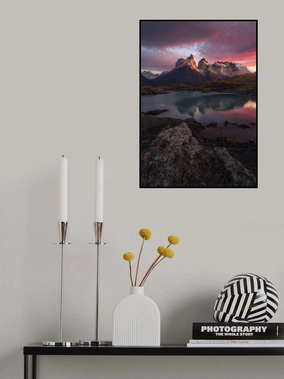 TDP at Dawn Poster och Canvastavla