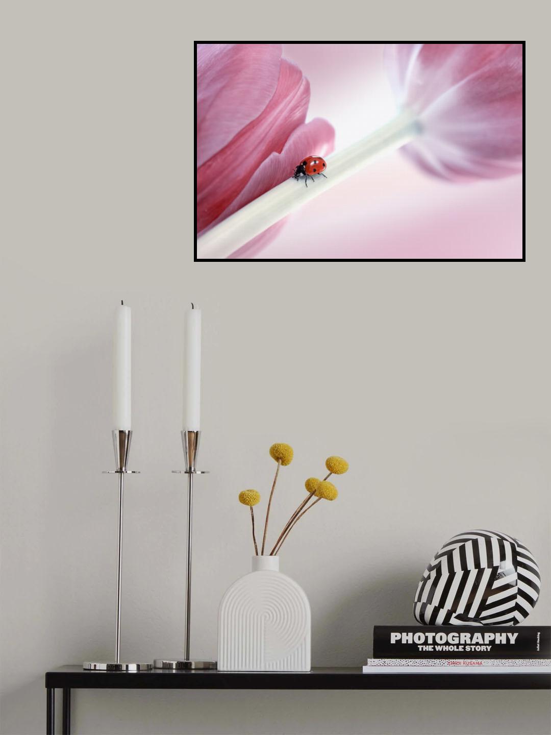 Ladybug Poster och Canvastavla