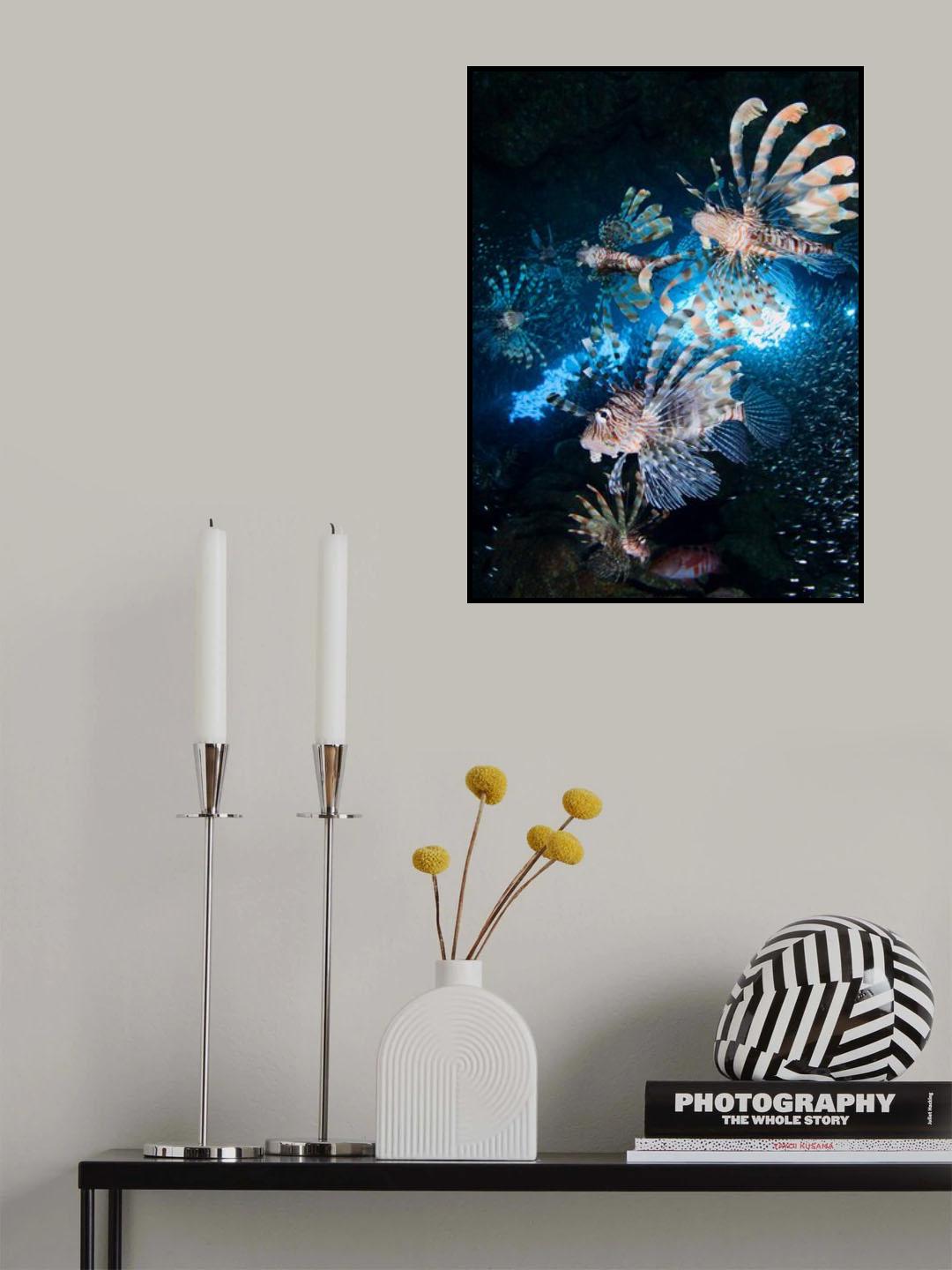 Star hunt Poster och Canvastavla