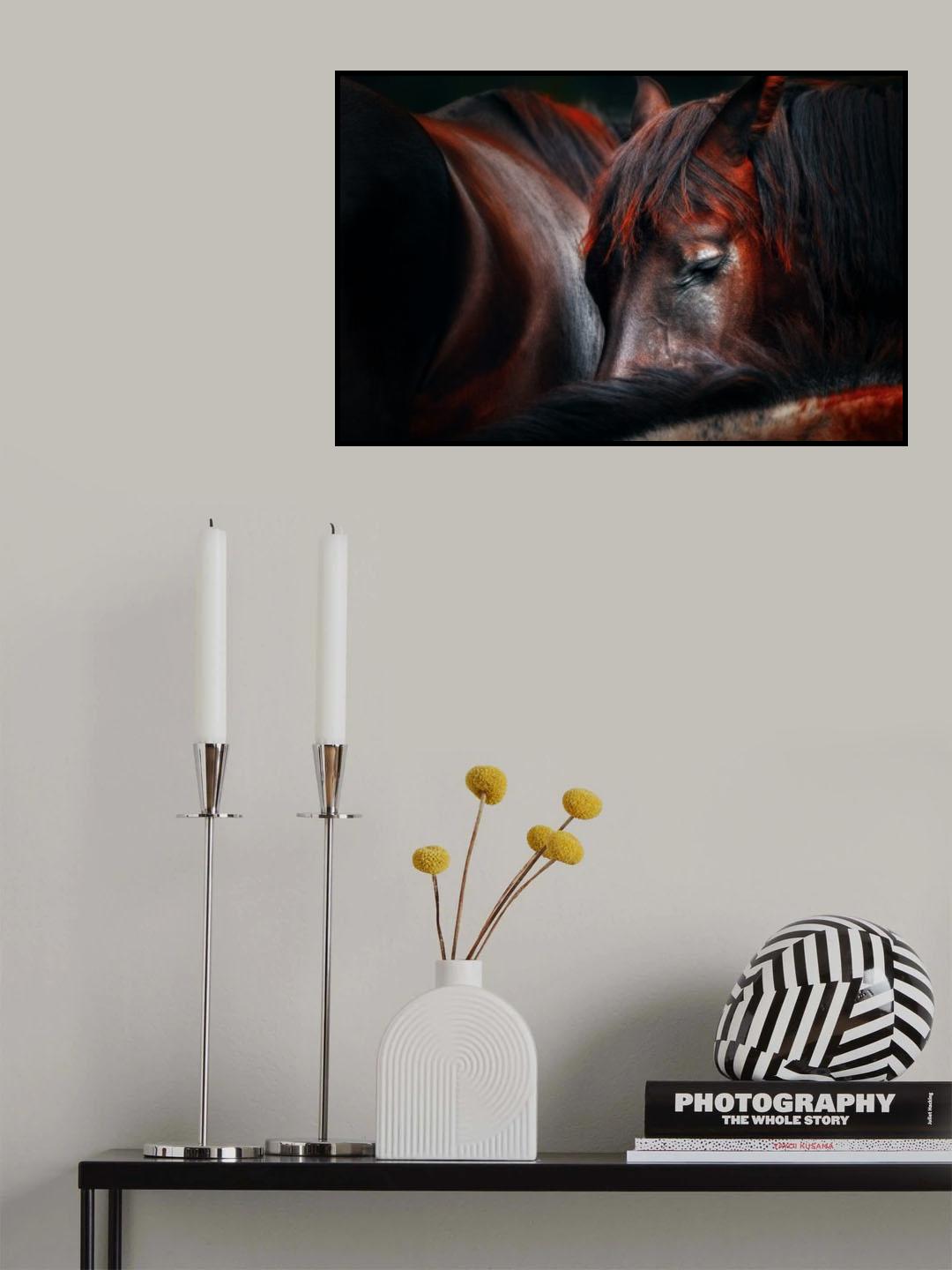 Sleep huddle Poster och Canvastavla