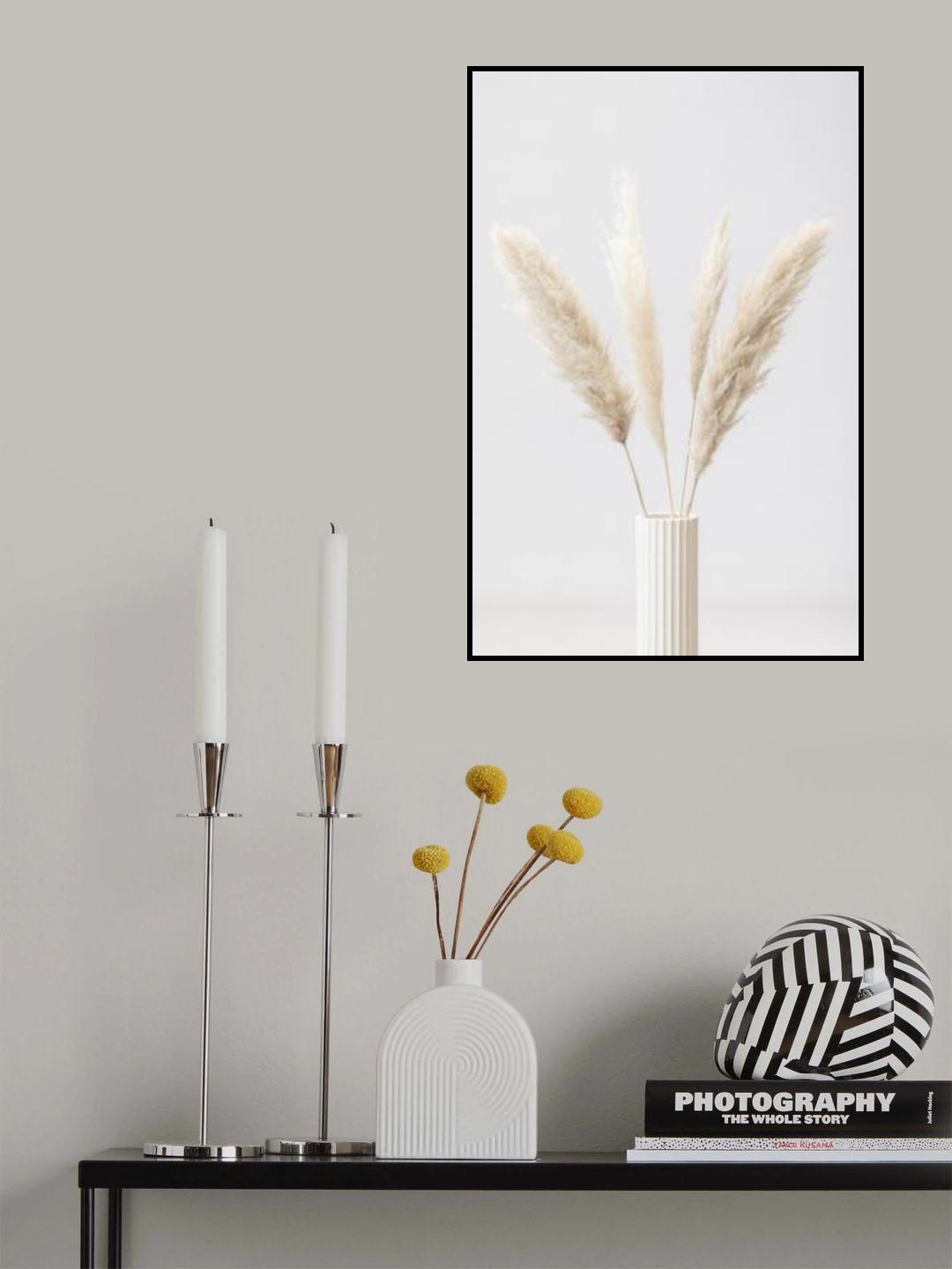 Pampas Grass Grey 09 Poster och Canvastavla
