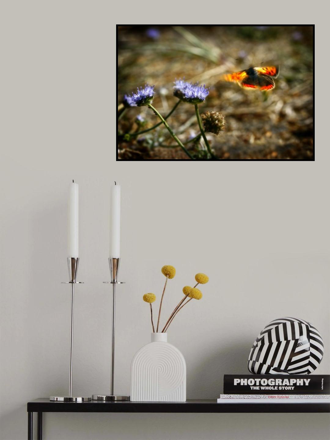 Almost There... Poster och Canvastavla