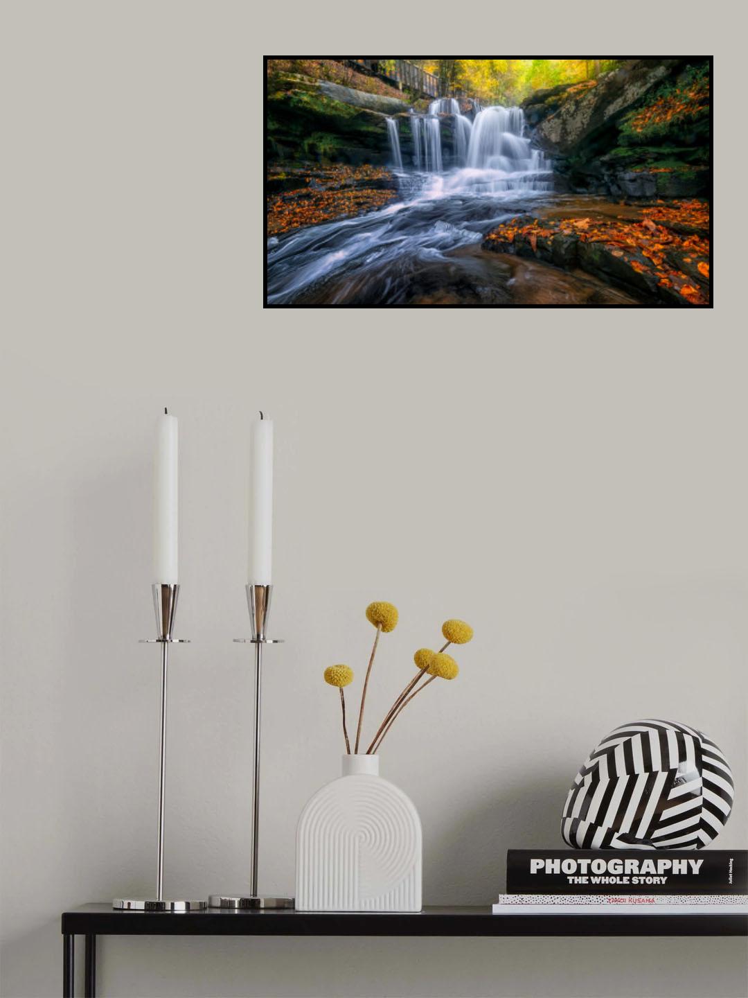 Fall in the Fall Poster och Canvastavla