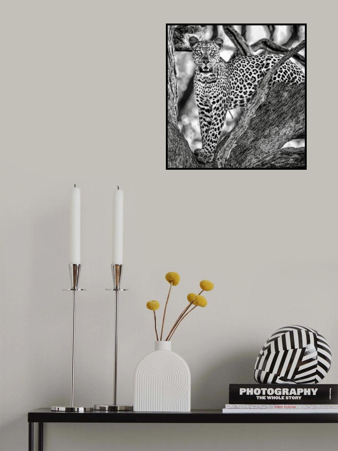 Spotted Poster och Canvastavla