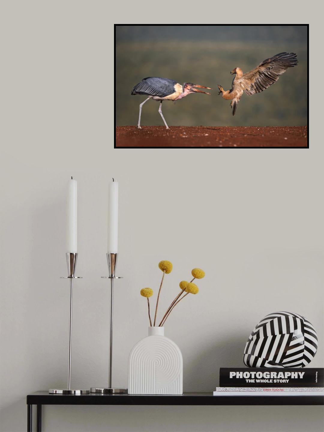 Confrontation Poster och Canvastavla