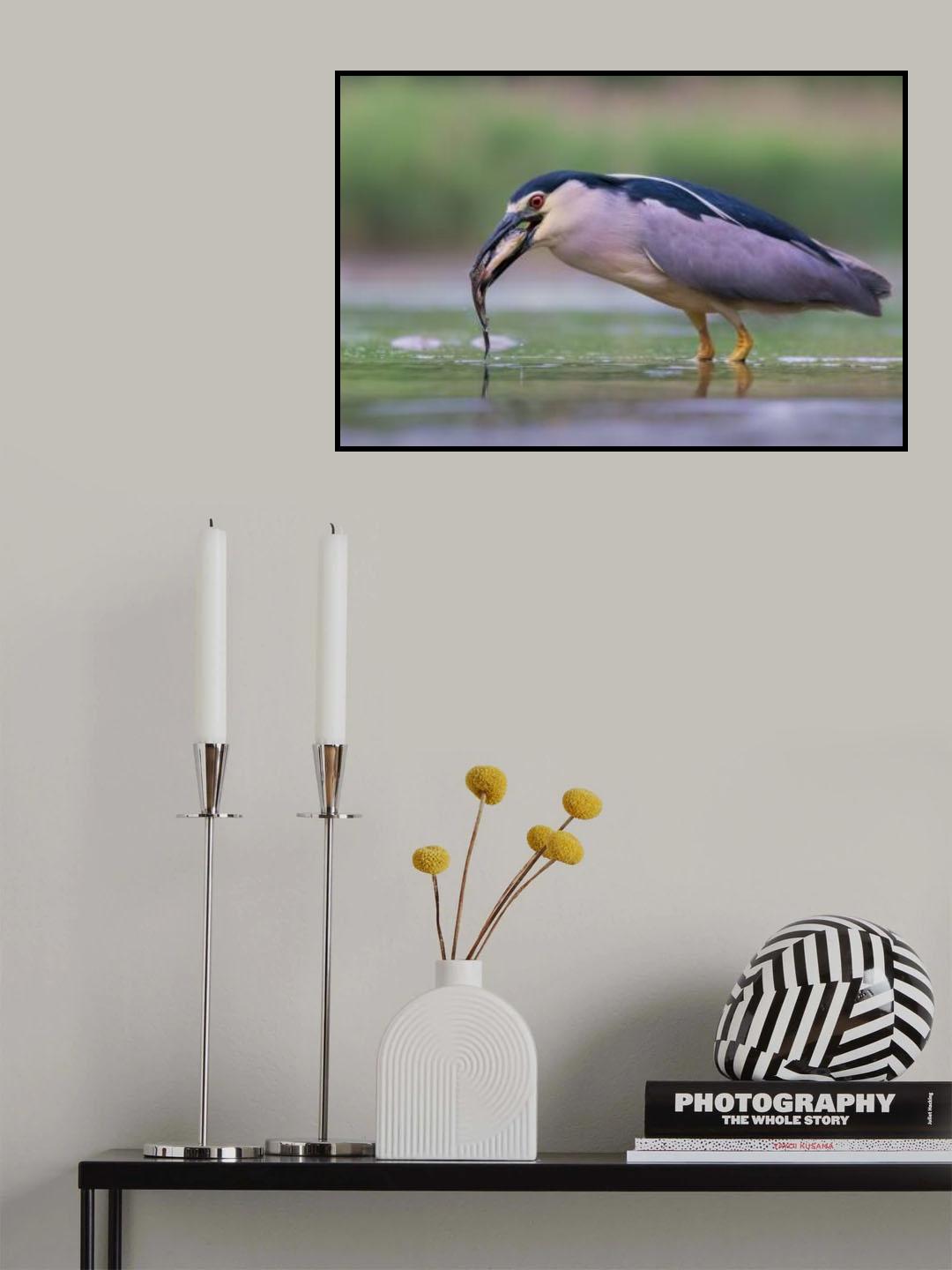 Eye to Eye Poster och Canvastavla