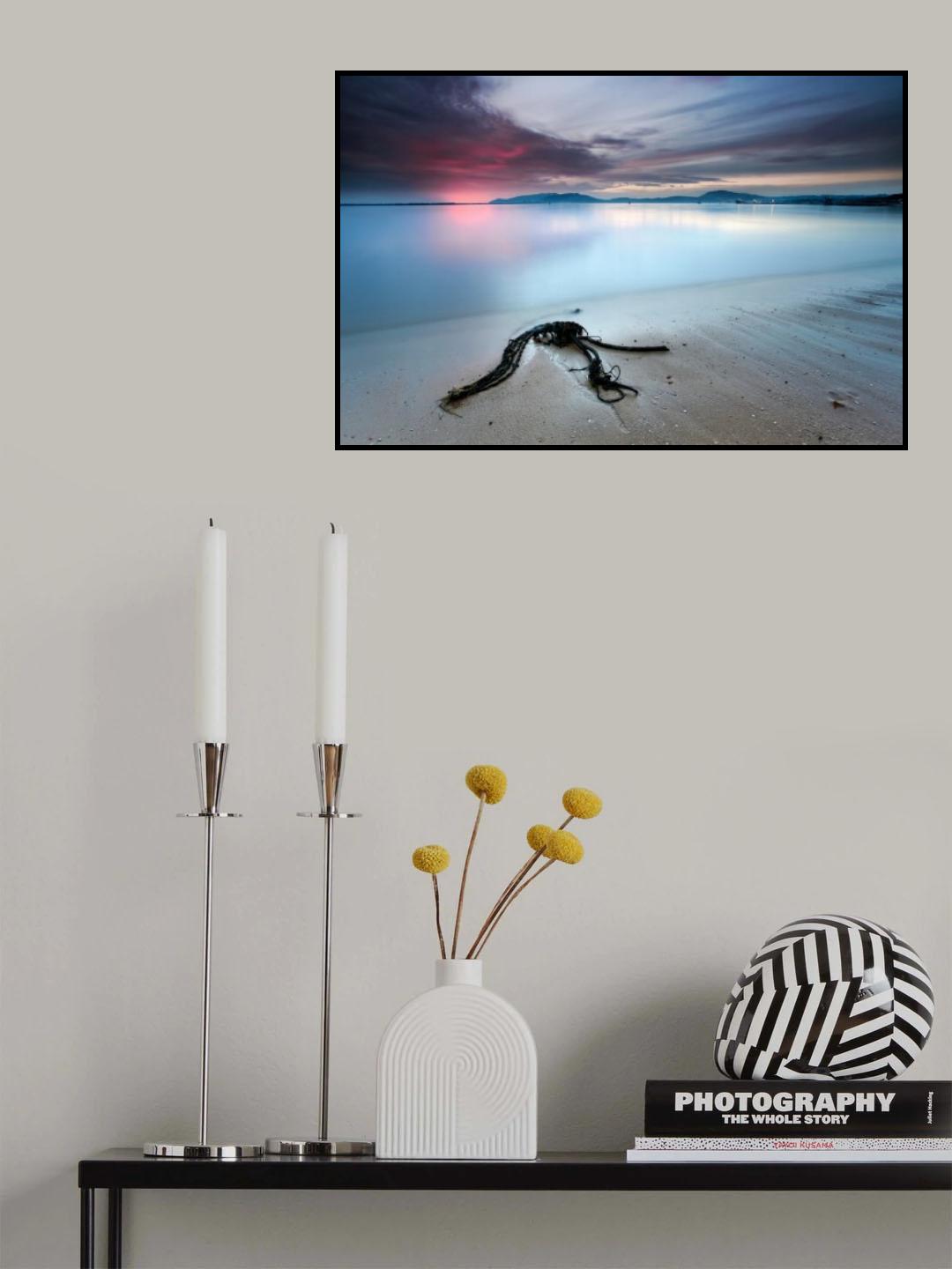 read the signs Poster och Canvastavla