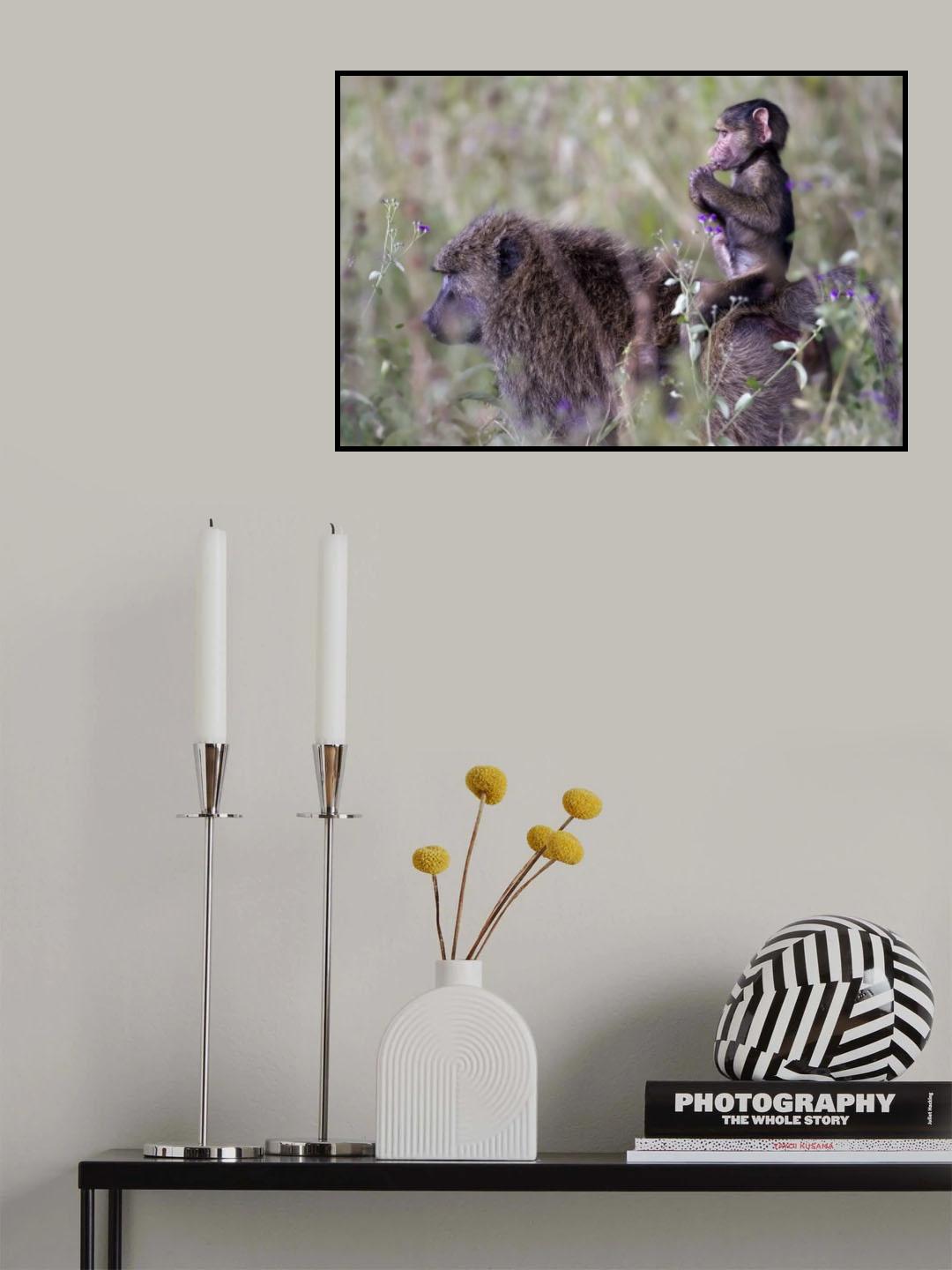 BABY SITTER Poster och Canvastavla