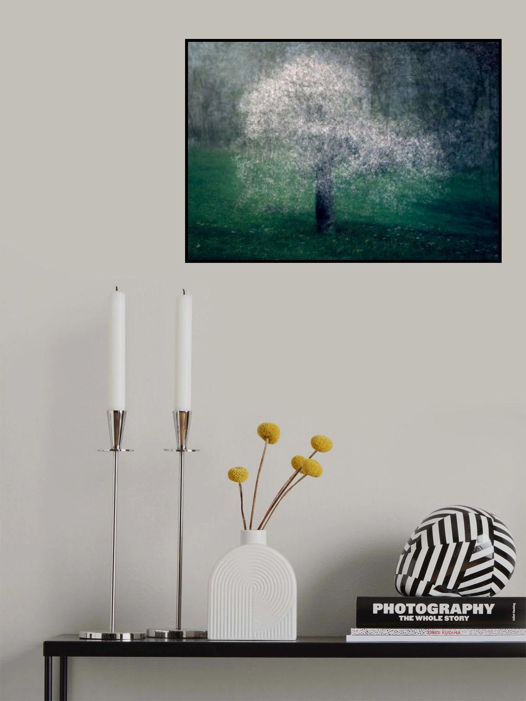 White lace Poster och Canvastavla