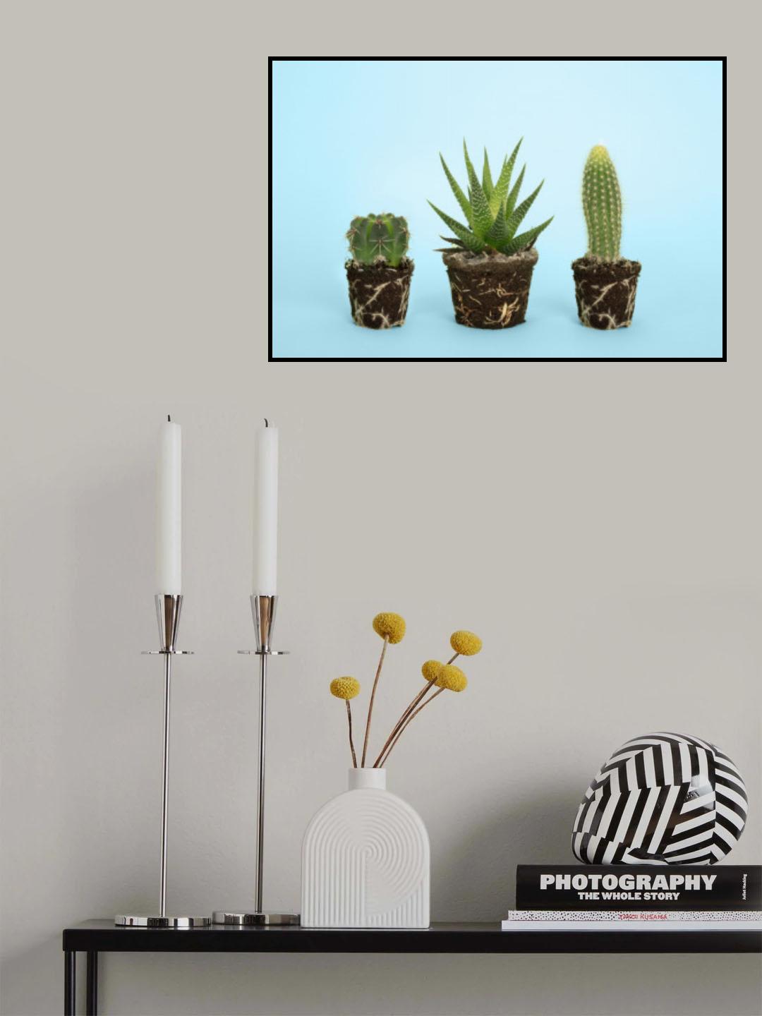 Cactus Poster och Canvastavla