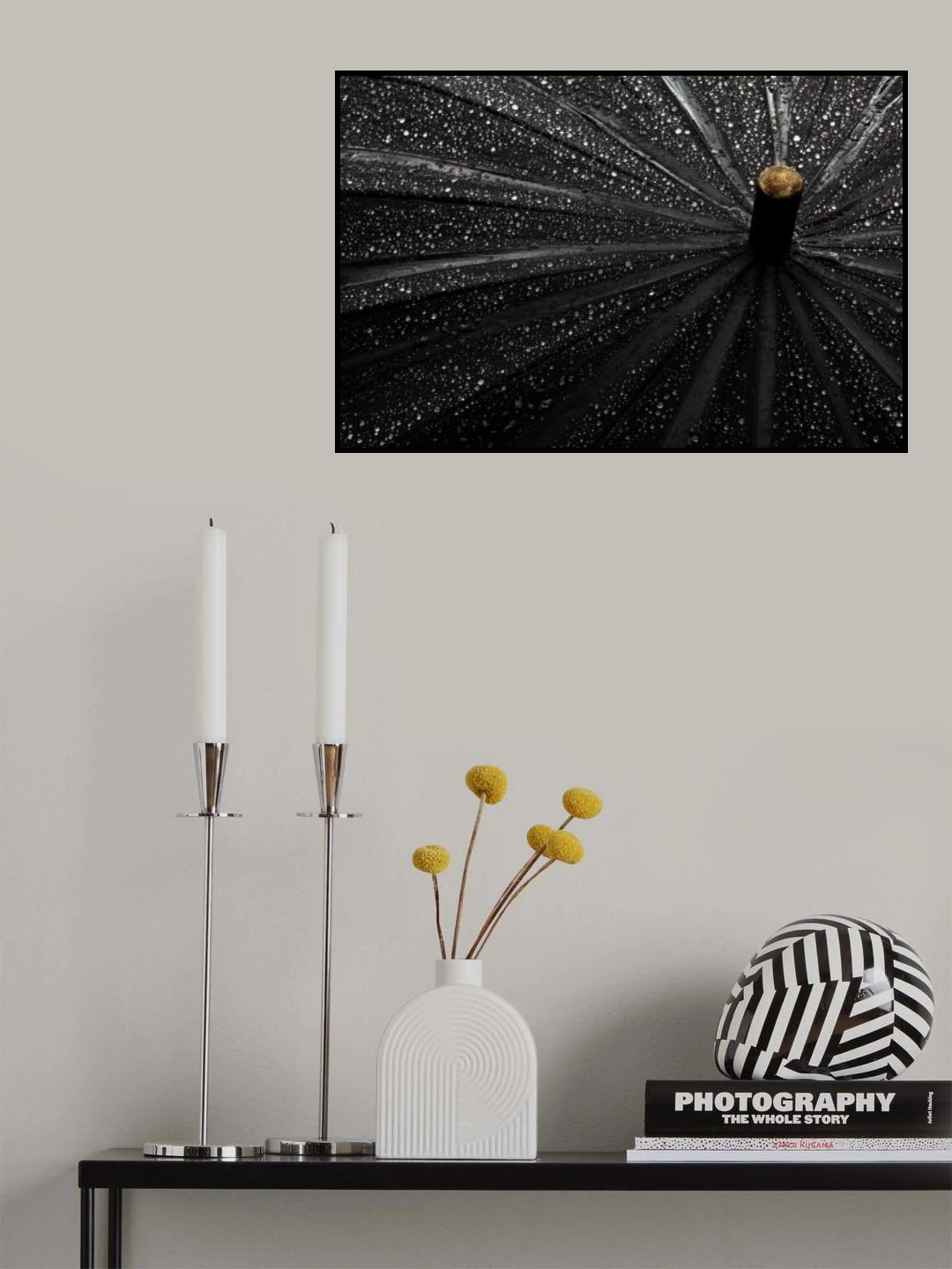 drops Poster och Canvastavla