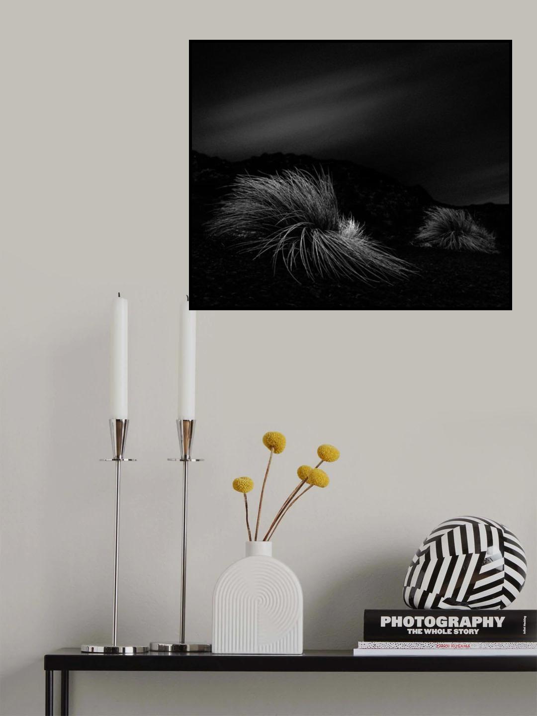 n/t Poster och Canvastavla