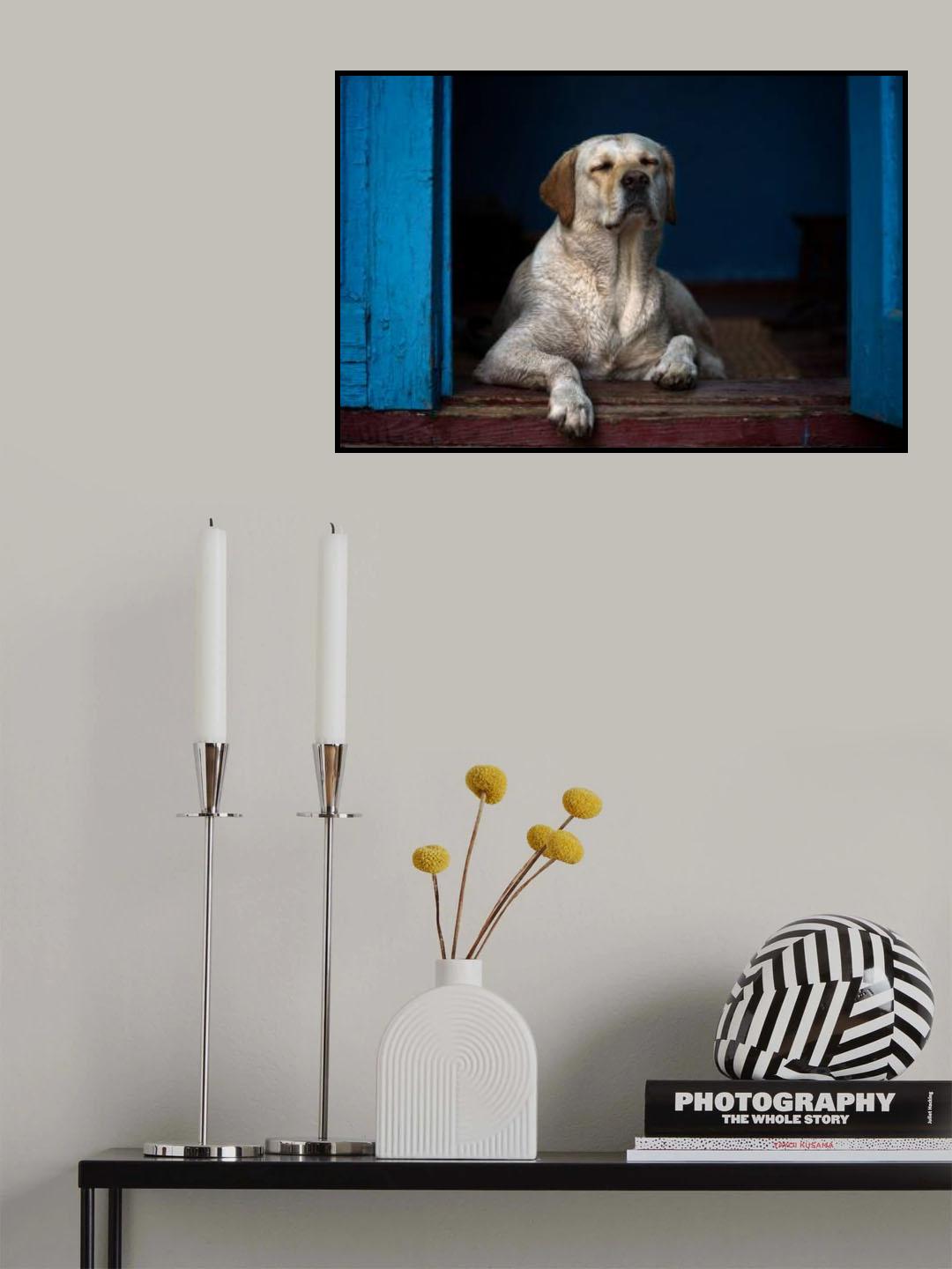 Daytime sleep Poster och Canvastavla