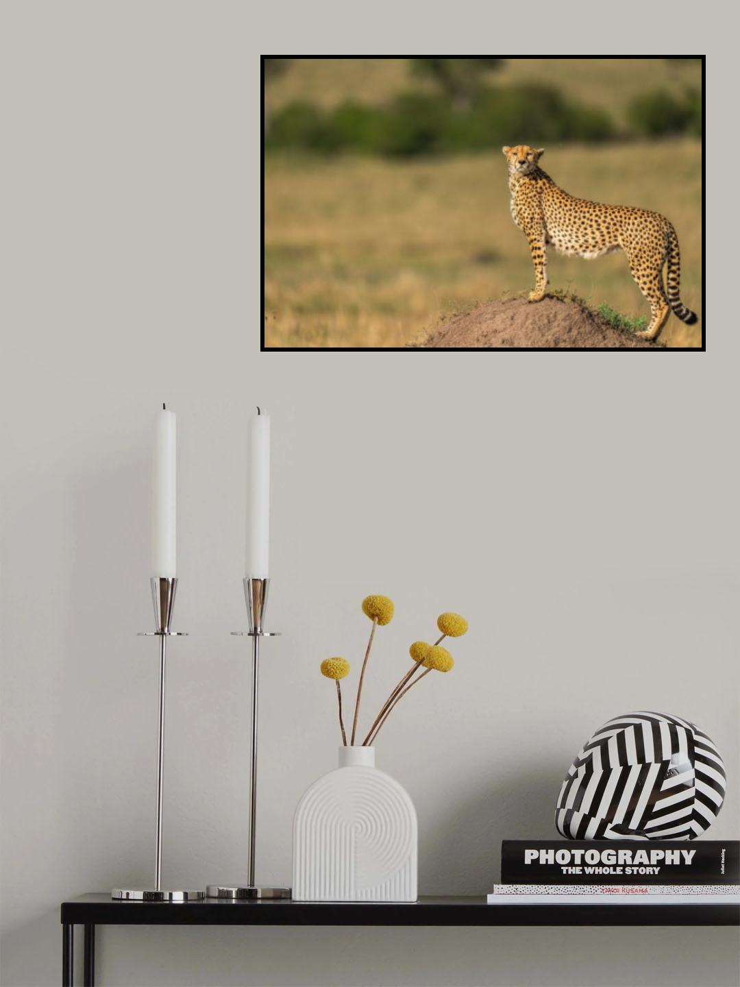 Beauty on Hill Poster och Canvastavla