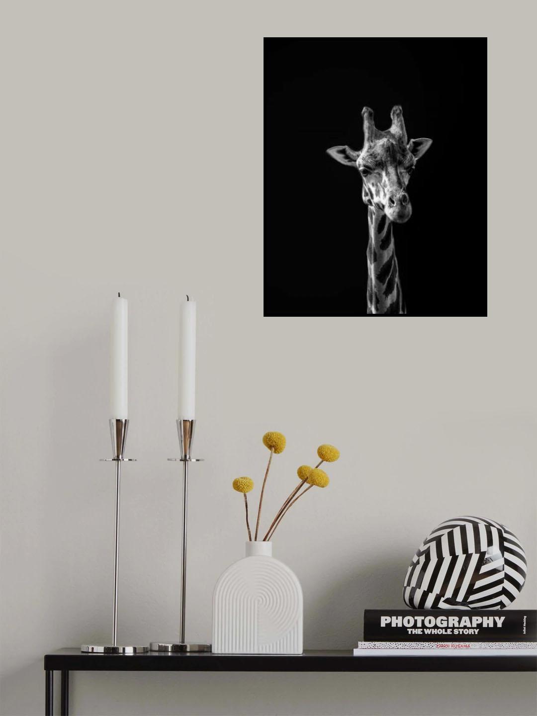 I'm thinking... Poster och Canvastavla
