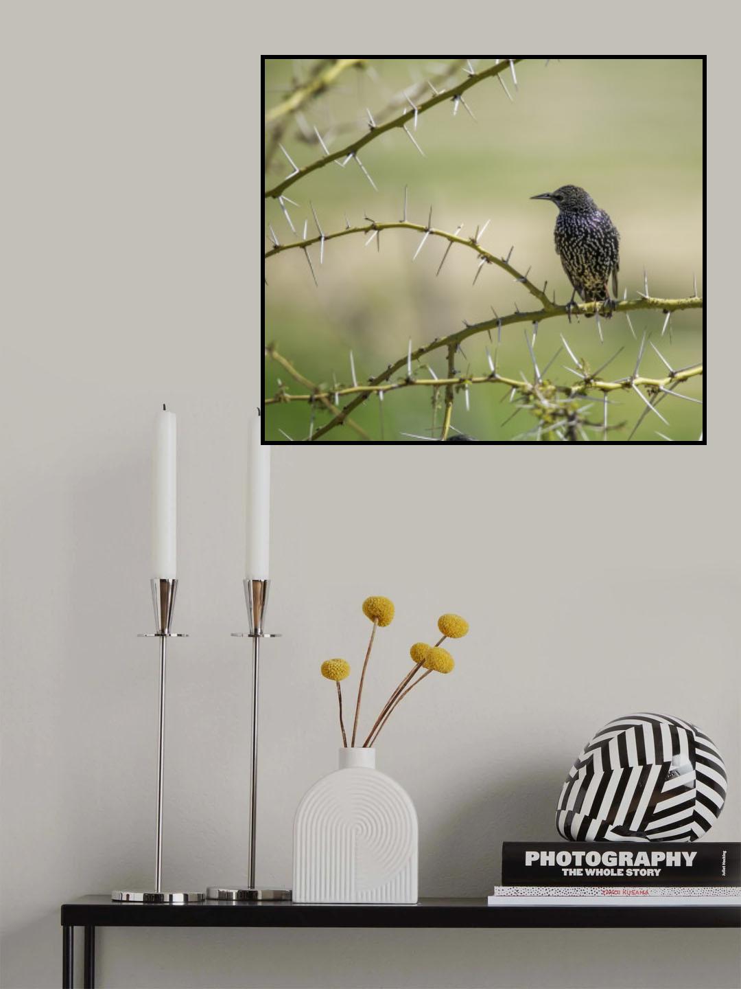 Poster och Canvastavla