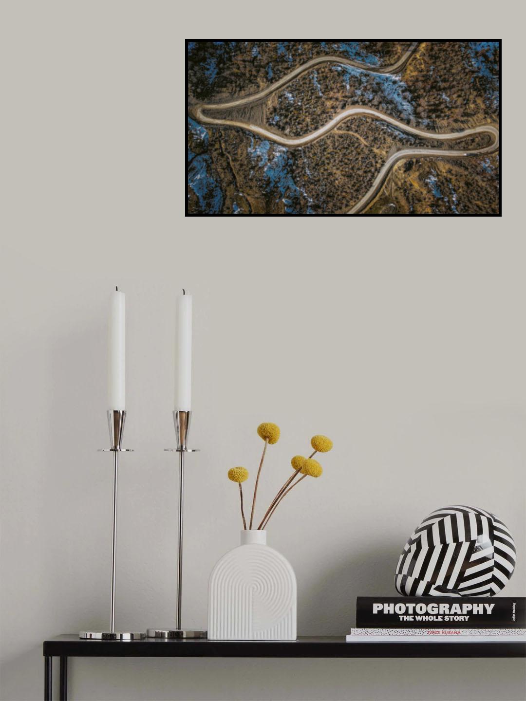 Serpentine duck Poster och Canvastavla