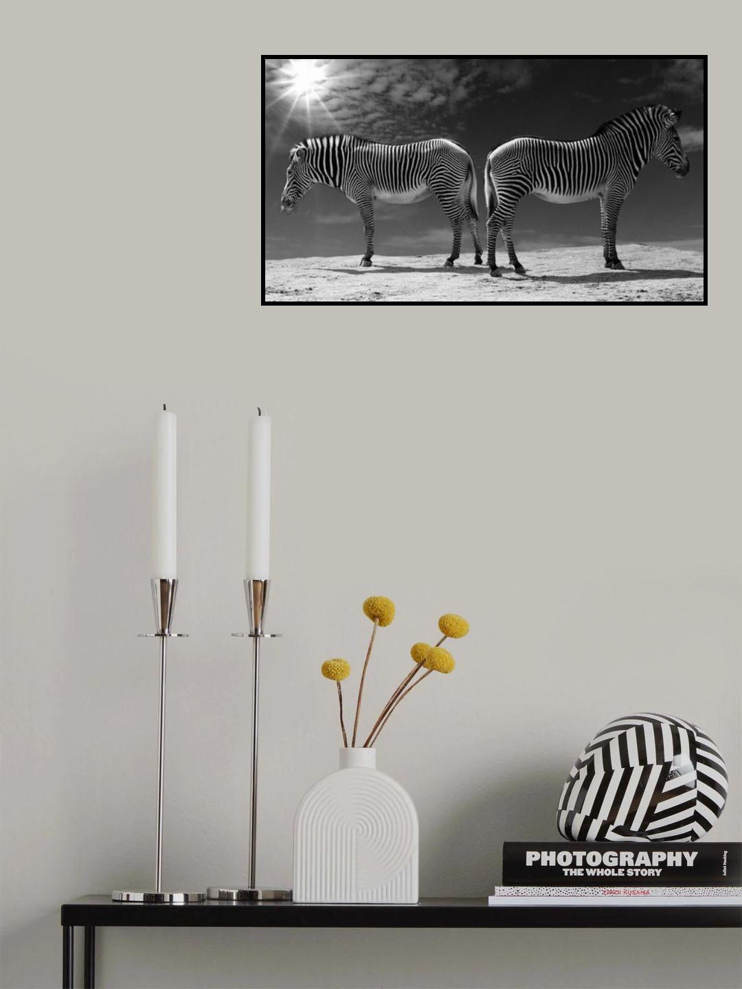 in the spotlight Poster och Canvastavla