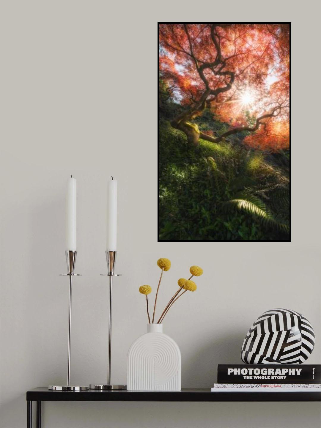 Autumn Glow Poster och Canvastavla