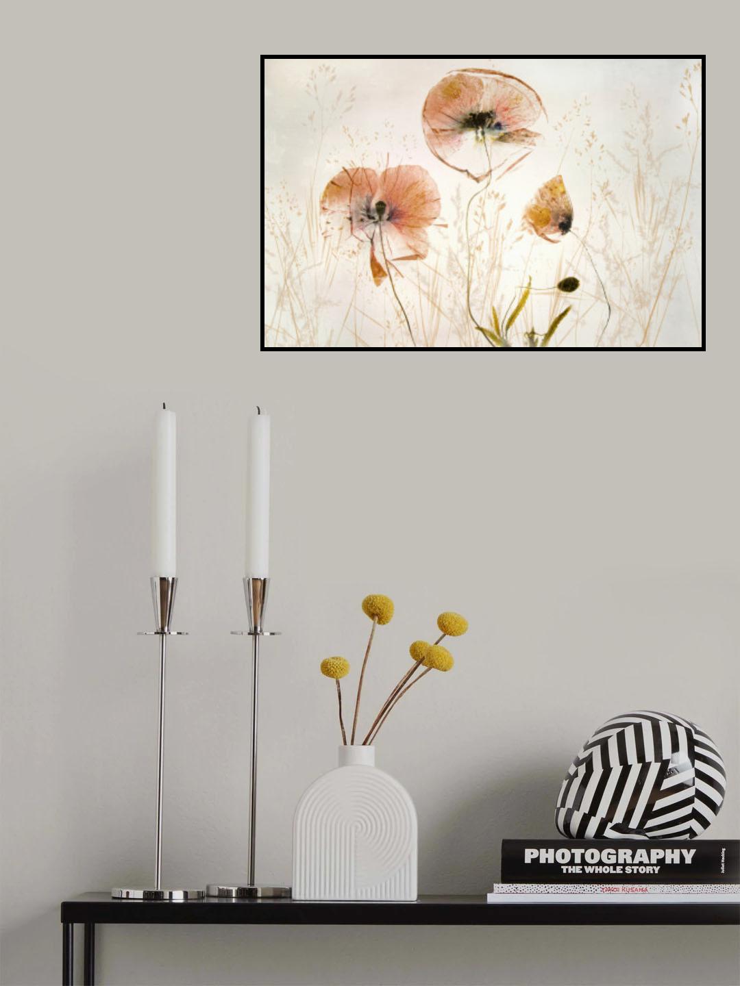 Light and soft Poster och Canvastavla