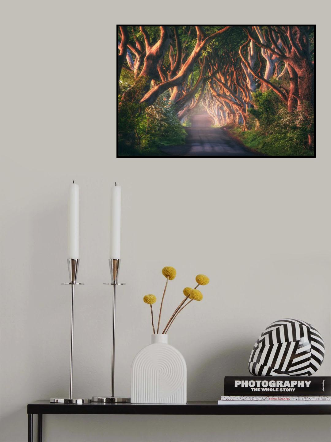 An Irish Fairytale Poster och Canvastavla