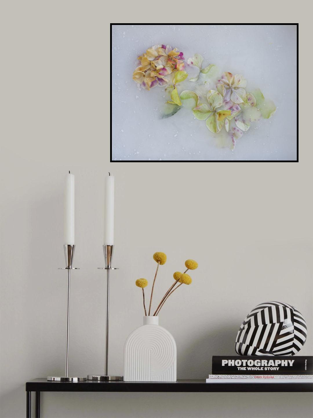 Hindrangea Flowers-3- Poster och Canvastavla