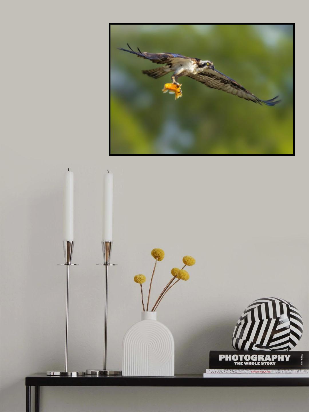 Big Catch Poster och Canvastavla