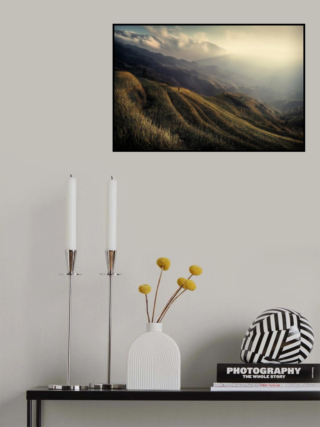 The rice fields Poster och Canvastavla