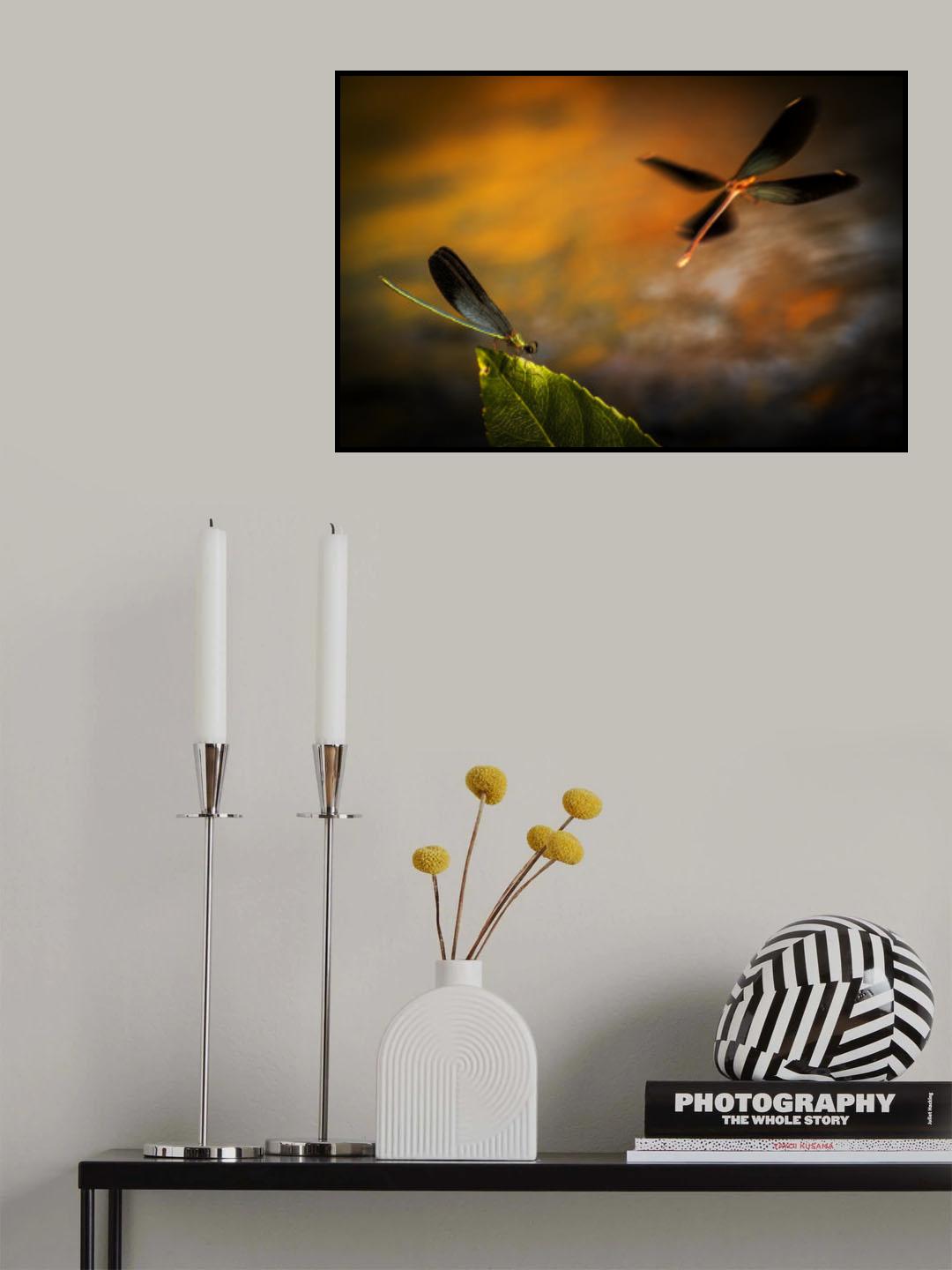 dragonfly Poster och Canvastavla