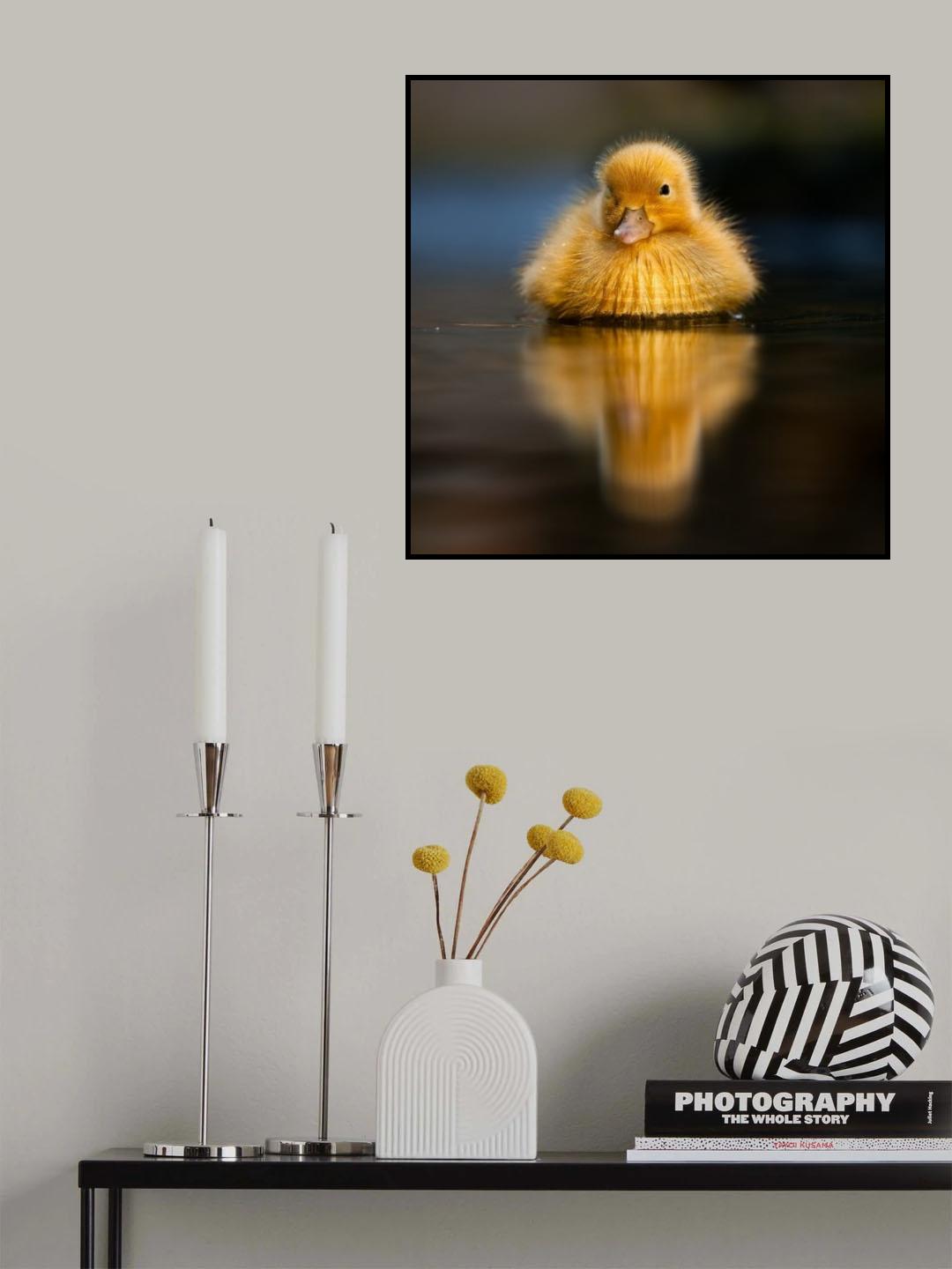 Sun Poster och Canvastavla