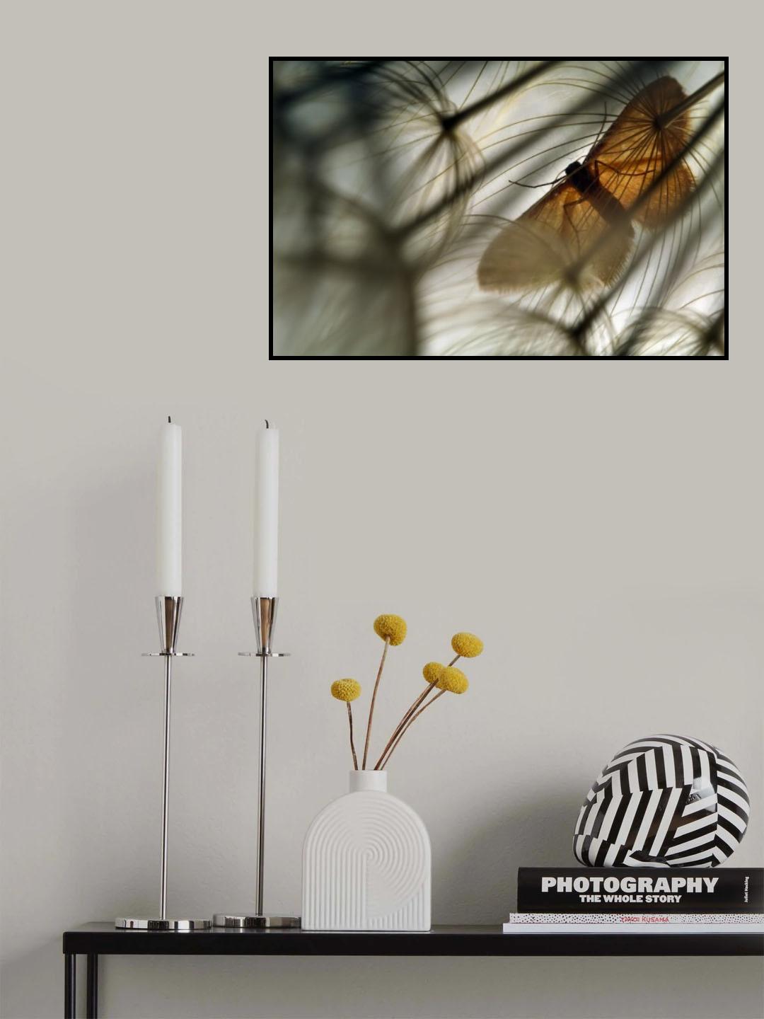 Geometer moth Poster och Canvastavla
