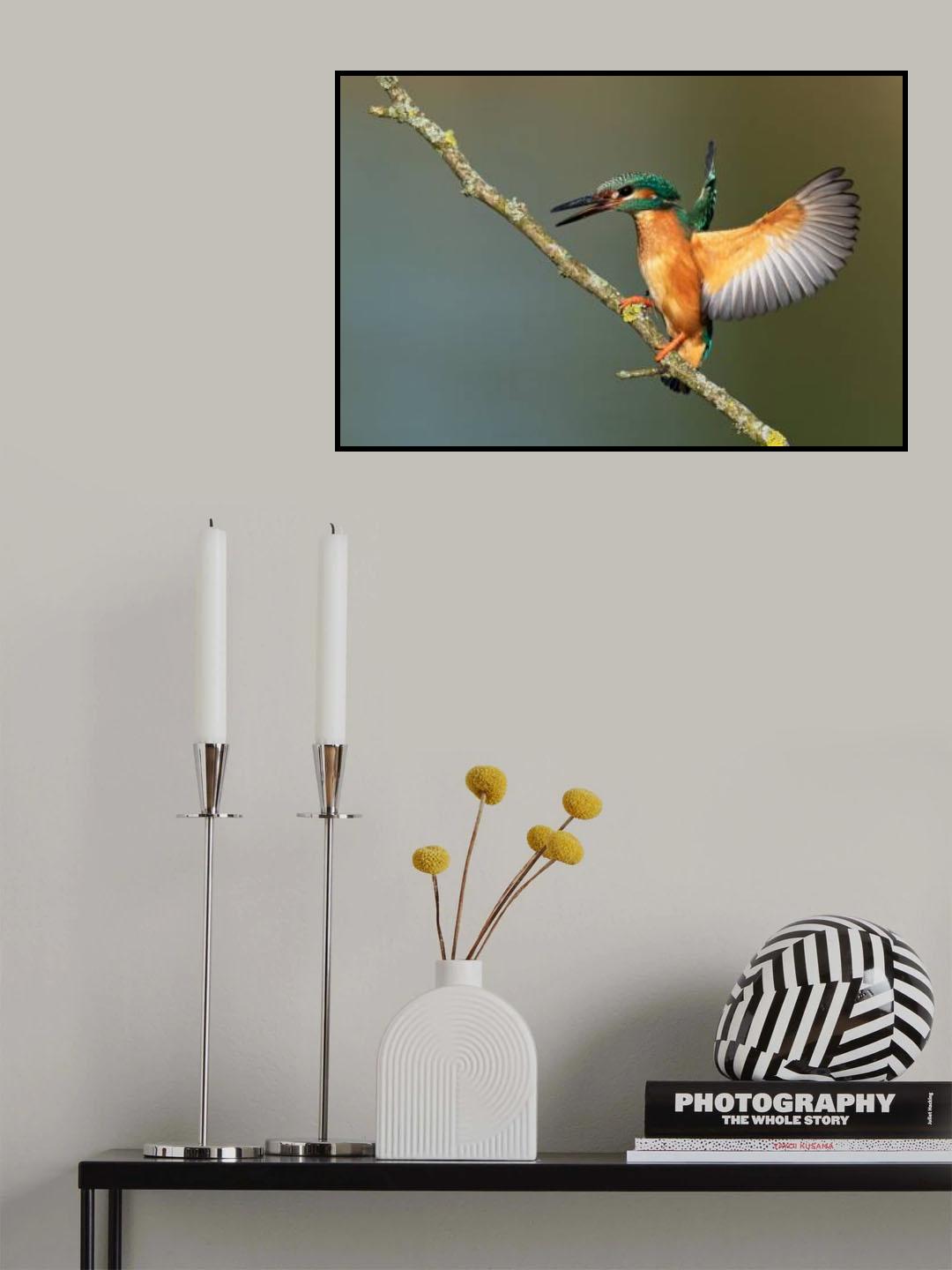 kingfisher Poster och Canvastavla