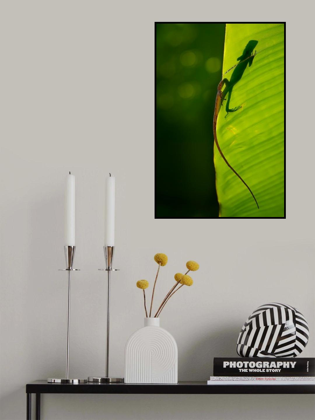 hidden behind the leaves Poster och Canvastavla