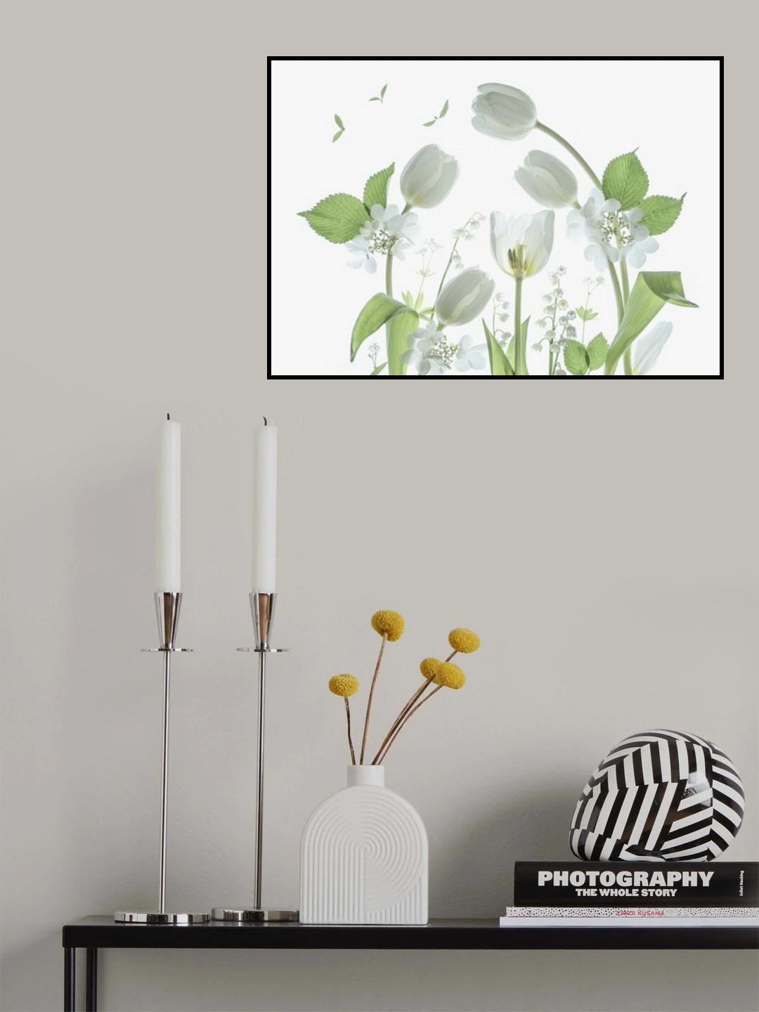 Innocence Poster och Canvastavla