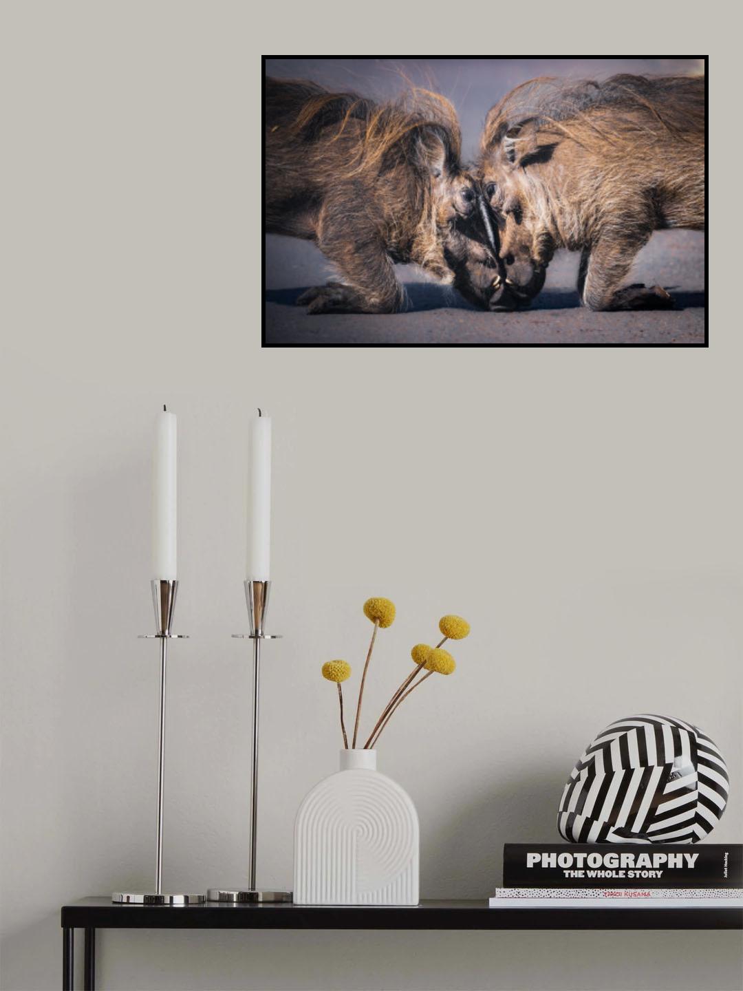 Seeing Eye to Eye Poster och Canvastavla