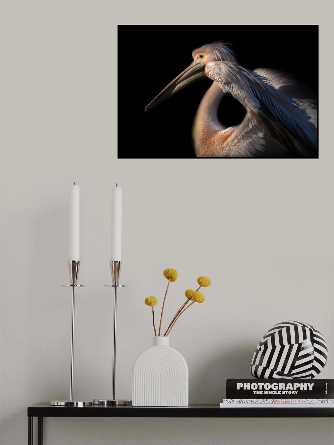 The Pelican Philosopher... Poster och Canvastavla