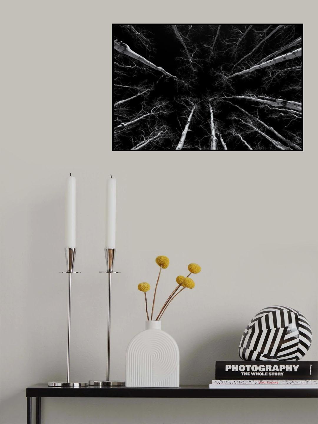 Exploring the Sky Poster och Canvastavla