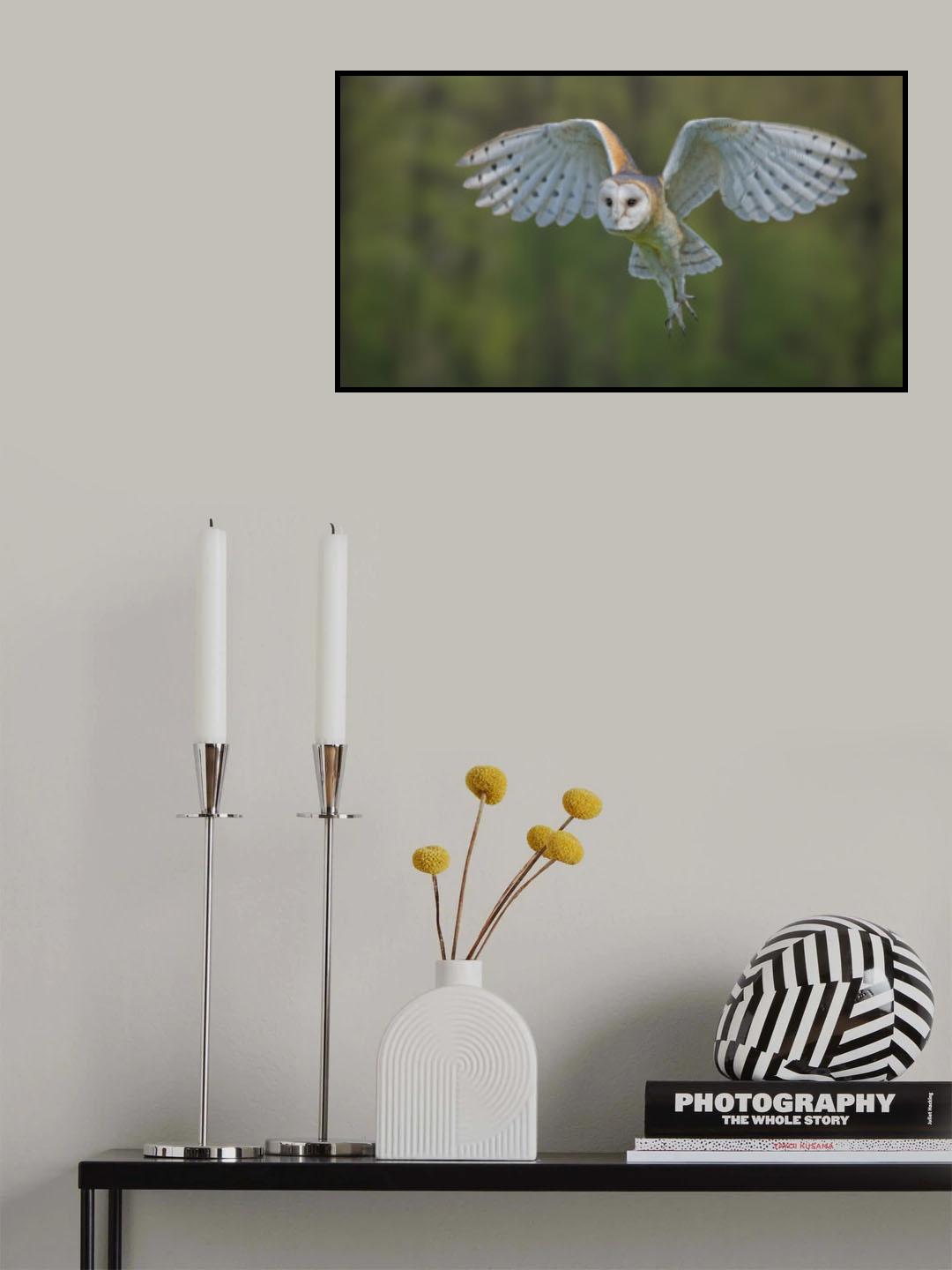 Elegance Poster och Canvastavla