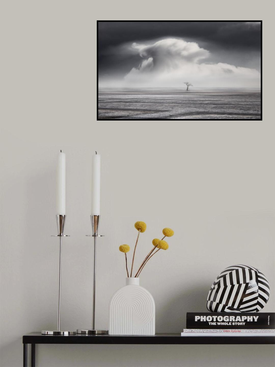 dry land Poster och Canvastavla