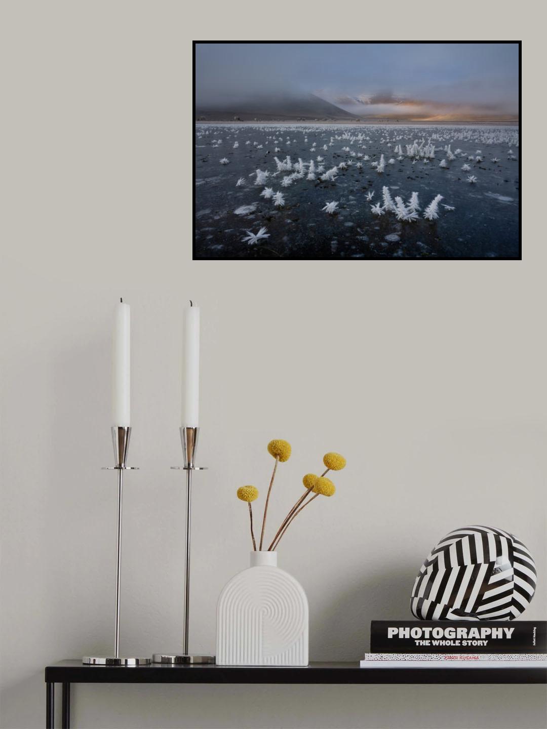 Winter bucolic landscape Poster och Canvastavla
