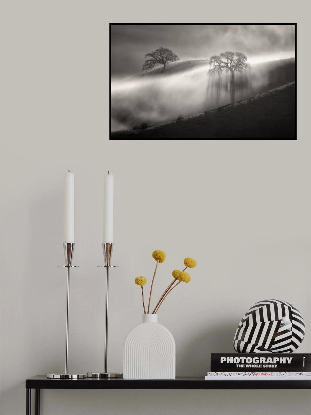Fog Shower Poster och Canvastavla