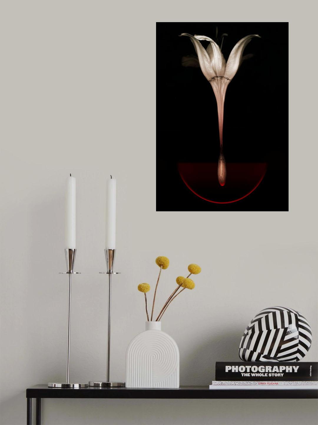 Floating lily Poster och Canvastavla