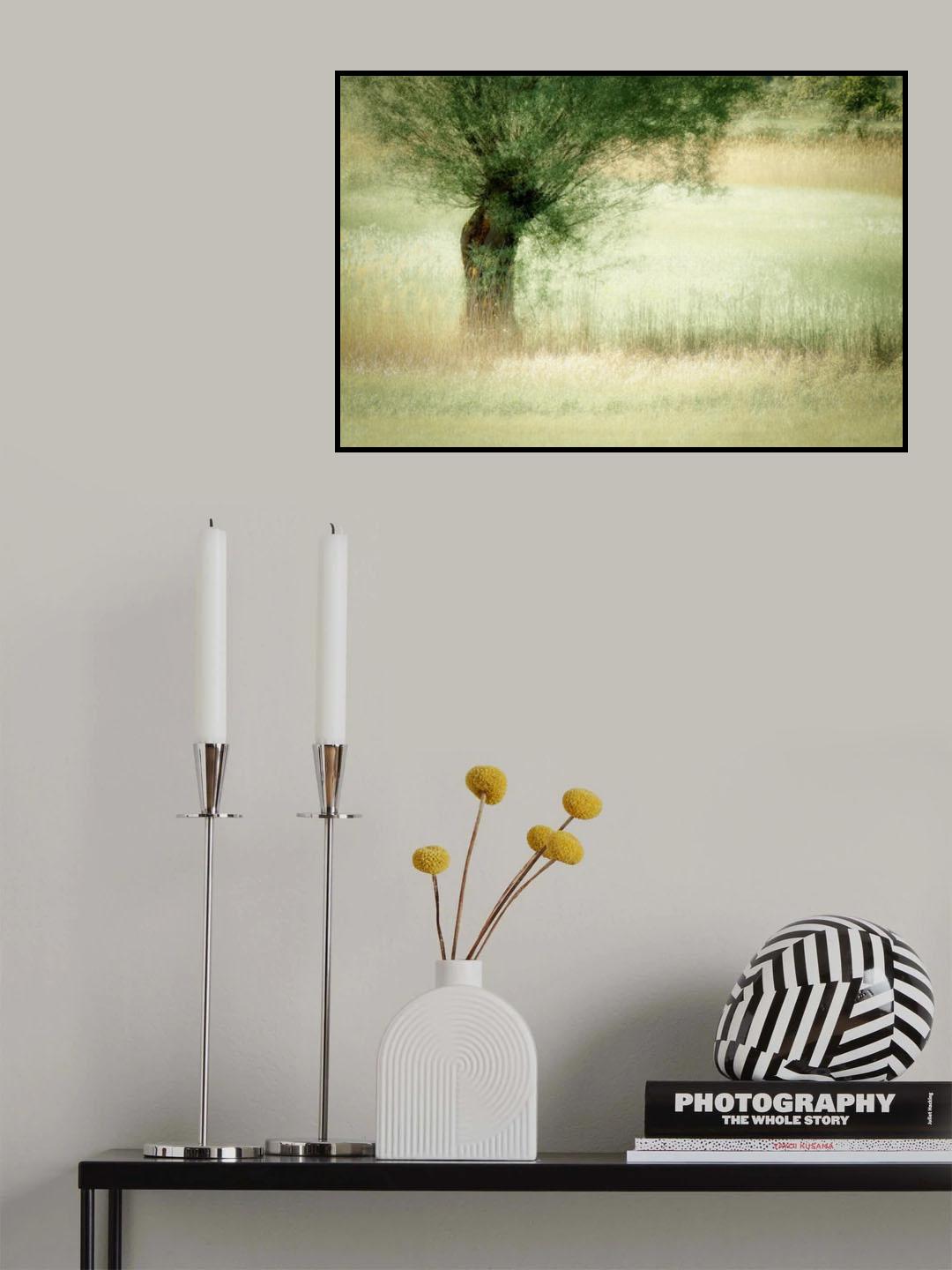 Willow Poster och Canvastavla