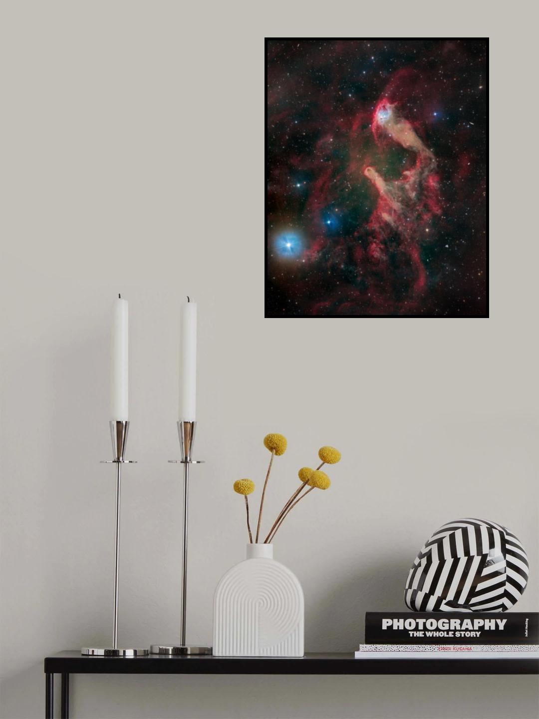 The Praying Mantis Poster och Canvastavla