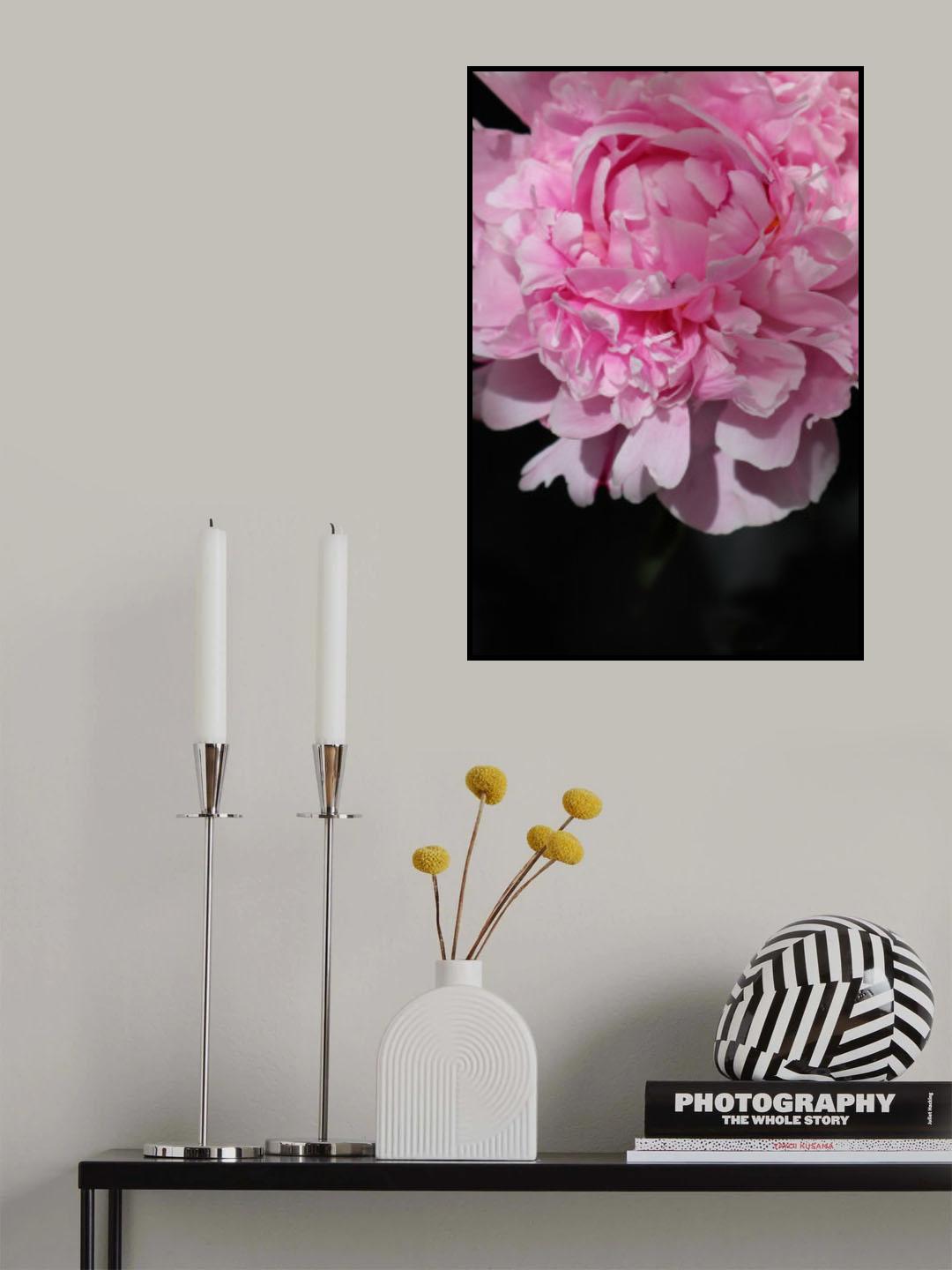 Pink peony V Poster och Canvastavla